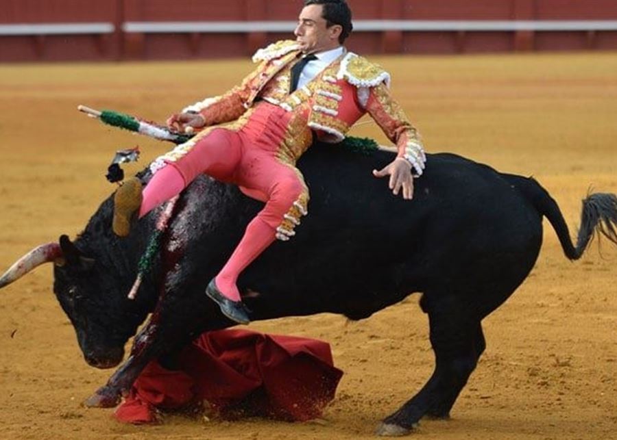 في تحول ثقافي.. إسبانيا تلغي الجائزة الوطنية لمصارعة الثيران   