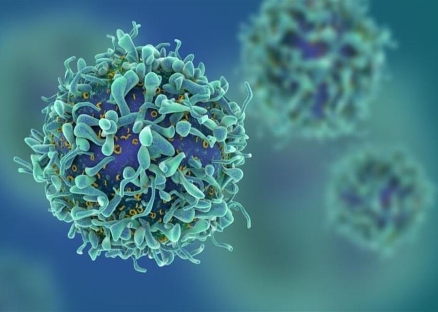 تطوير طريقة جديدة لقتل الخلايا السرطانية (فيديو)