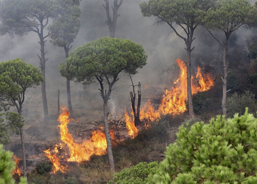 وزير البيئة يحذر من الحرائق اليوم وينشر خريطة عن مواقع الخطر!