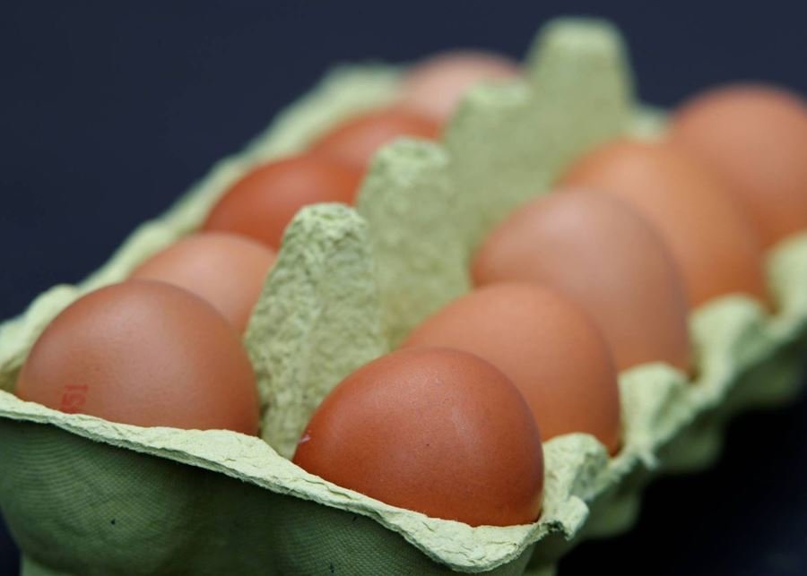 دراسة: نوع من بيض لا يرفع الكوليسترول؟! 